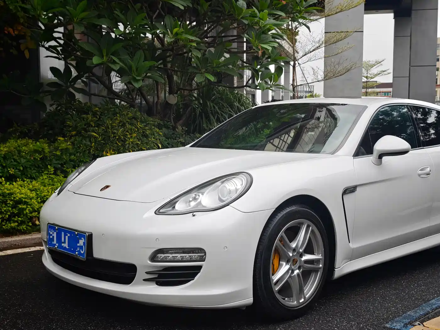 Porsche Panamera 2010 Panamera 3.6L фото 6
