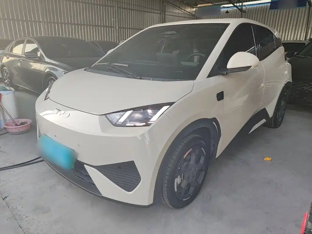 BYD Seagull 2026 2025 Smart Drive Edition 305km Freedom Version