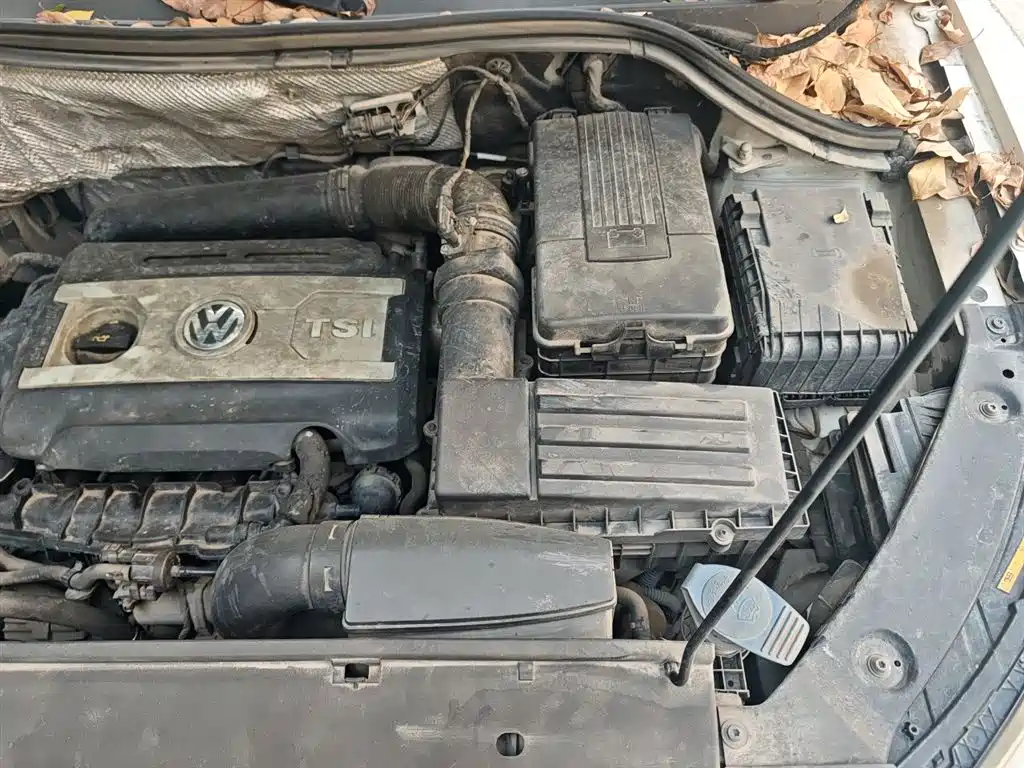 Volkswagen Tiguan 2016 Model 300TSI Automatic 2WD Luxury Edition фото 23
