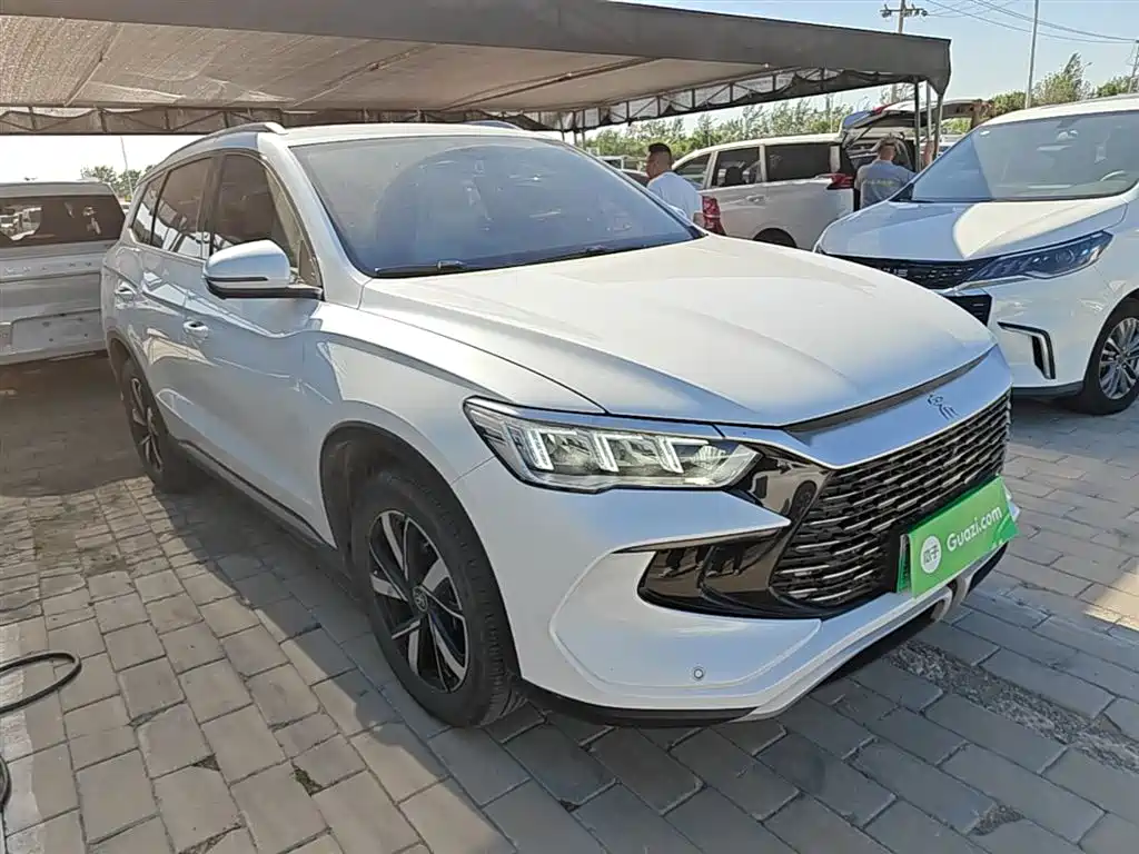 BYD Song Pro New Energy 2024 Glory Edition DM-i 71KM Pilot фото 4