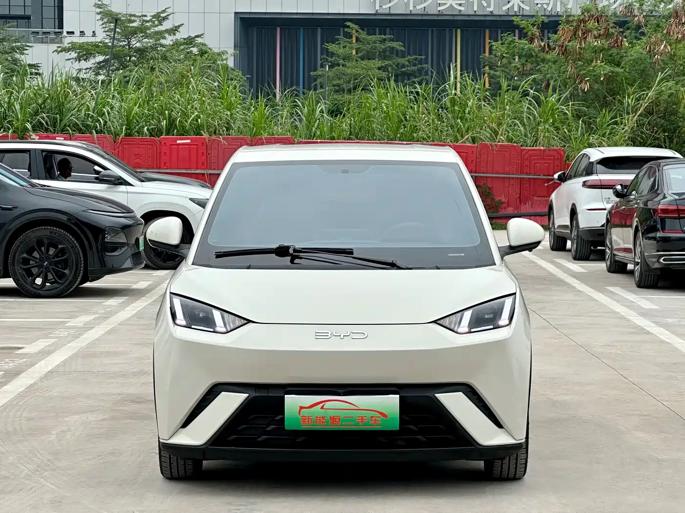 BYD Seagull 2024 Glory Edition 305km Freedom Edition фото 2