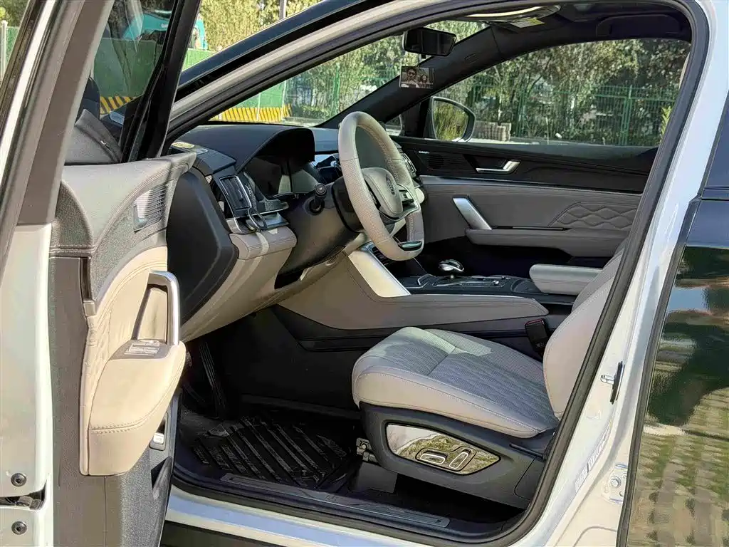 BYD Tang New Energy 2025 2025 DM-i 115KM Prestige Type