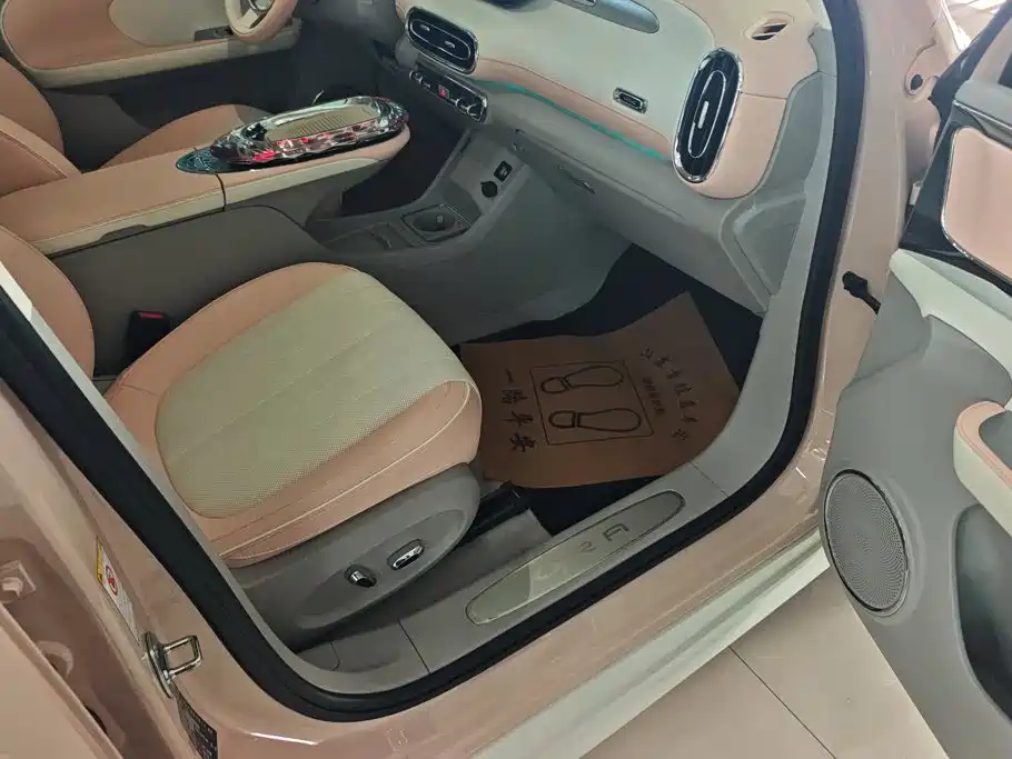 Ora Ballet Cat 2025 2023 401km Premium Model