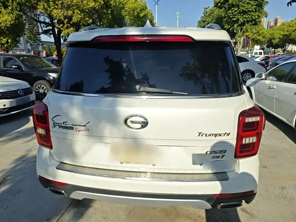 GAC Trumpchi Trumpchi GS8 2017 320T 2WD Luxury Smart Connect (7-seater) фото 6