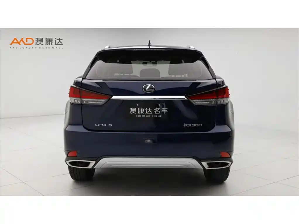 Lexus RX 2020 Facelift 300 2WD Elite Edition фото 4