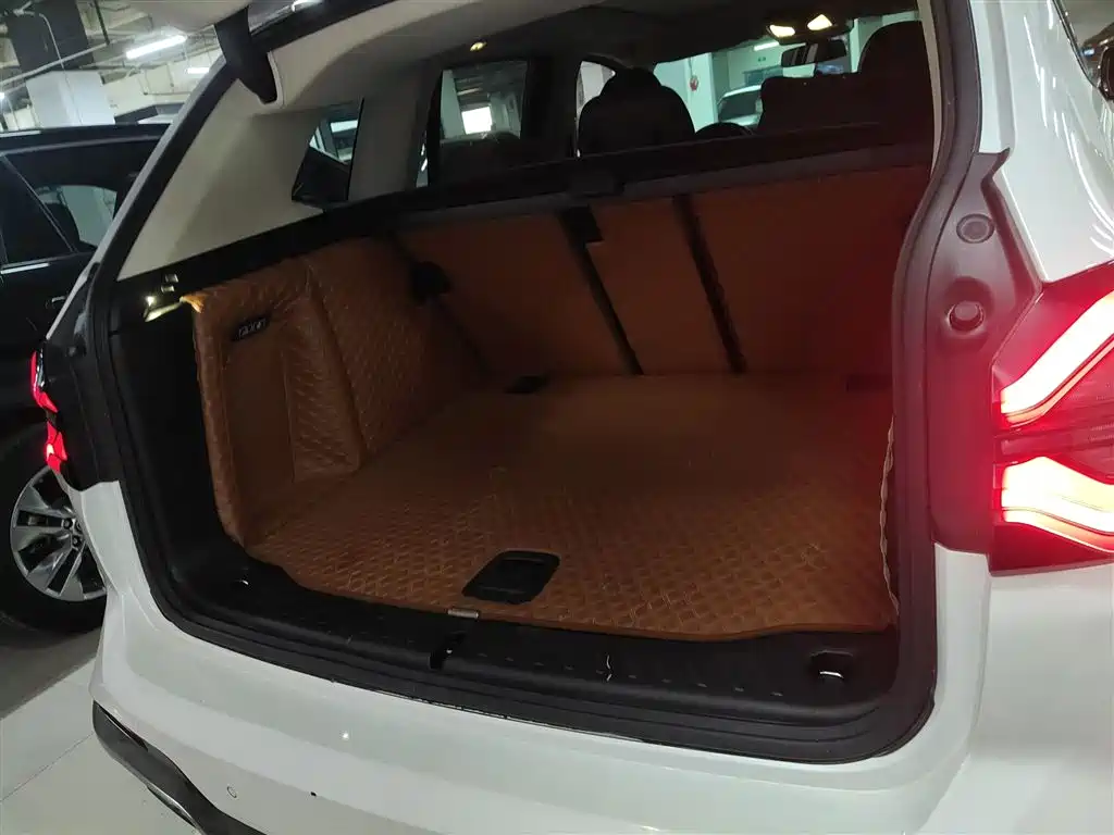 BMW X3 2022 xDrive30i Leading M Night Package фото 9