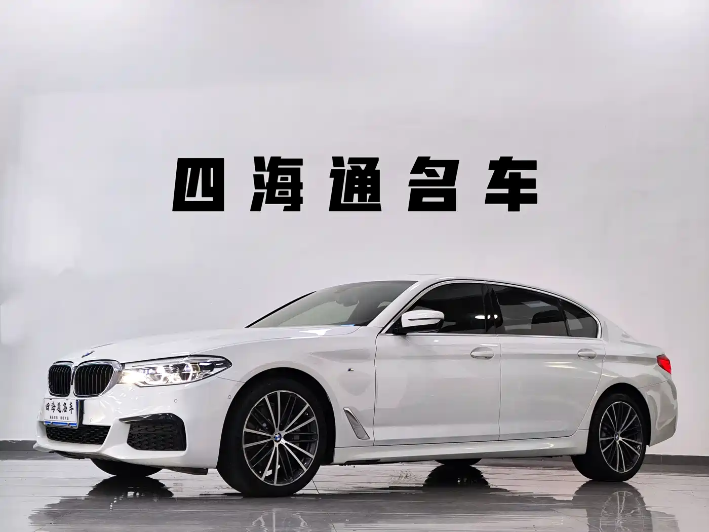 BMW 5 Series 2020 530Li Leading M Sport Package