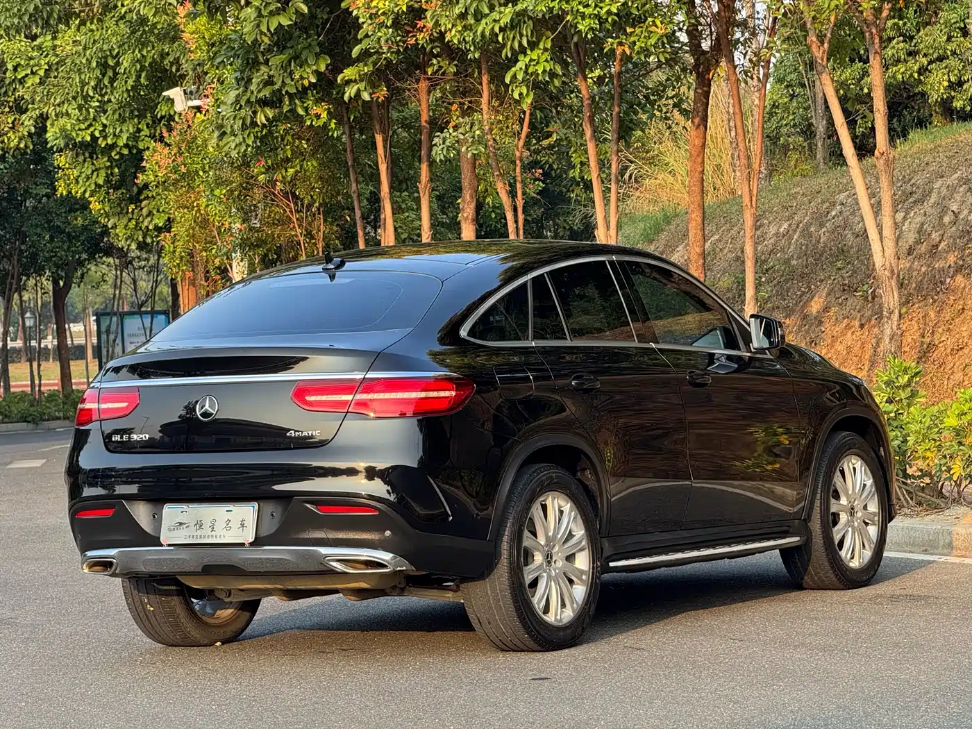 Mercedes-Benz GLE Coupe 2018 GLE 320 4MATIC Coupe SUV фото 9
