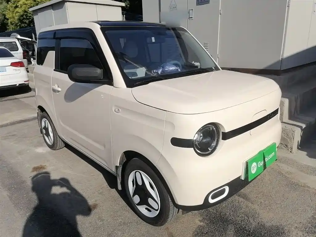 Geely Galaxy Panda 2025 Panda mini 210km Vitality Bear фото 4