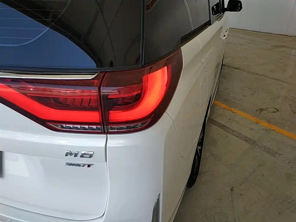 GAC Trumpchi Trumpchi M8 2021 Leading Show Series 390T Luxury Edition фото 8