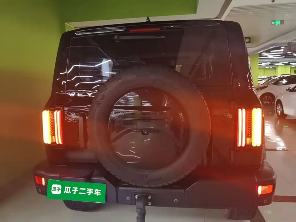 Tank 300 2021 2021 Off-road Version 2.0T Conqueror