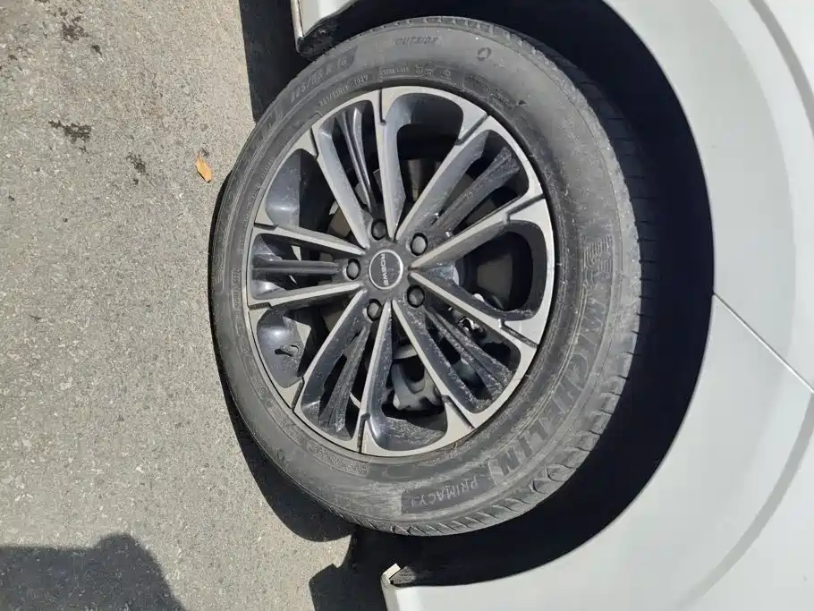 Roewe iMAX8 2023 2022 400TGI Honor Edition