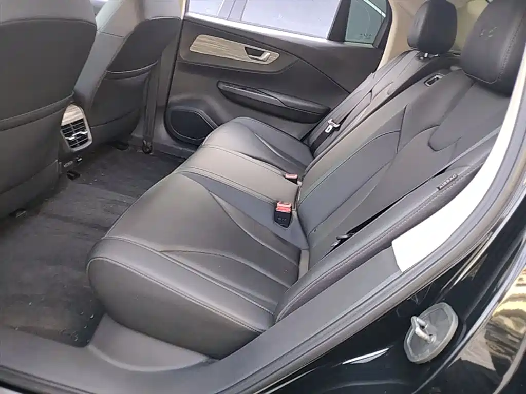 Hongqi E-QM5 2023 620km PLUS фото 16