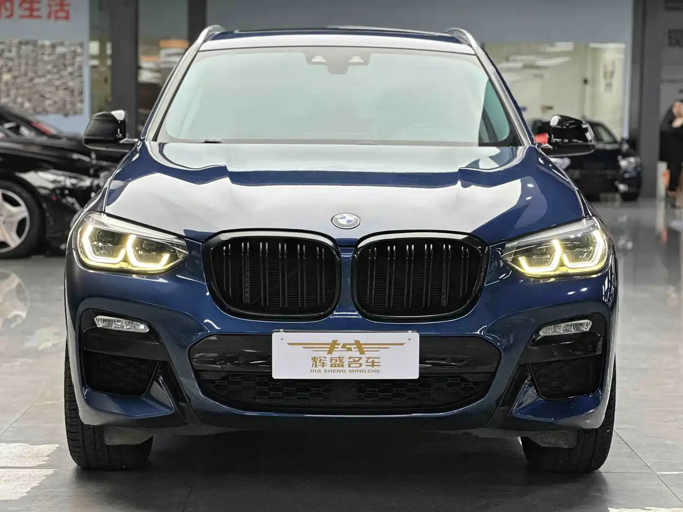 BMW X3 2018 2018 xDrive25i M Sport Package China V