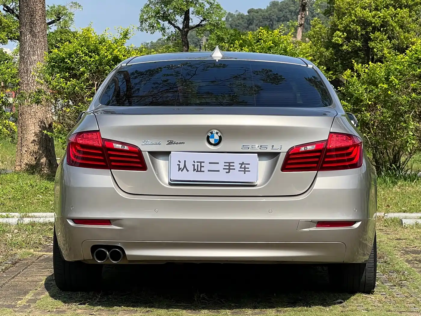 BMW 5 Series 2014 525Li Leading фото 6