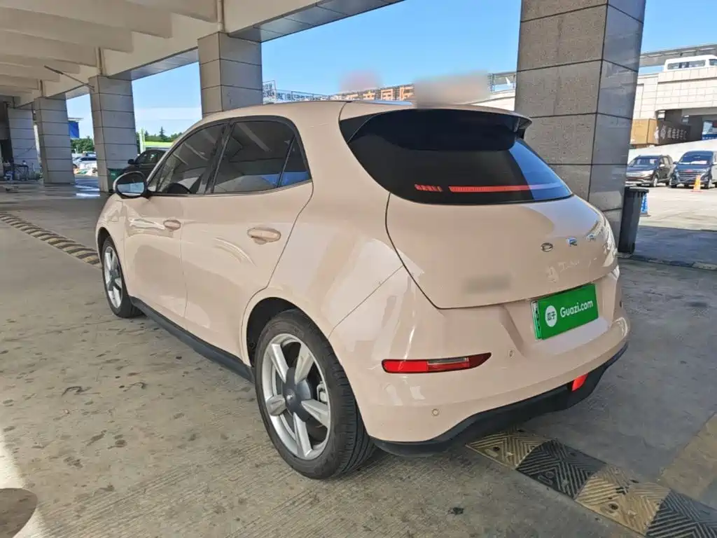 Ora Good Cat 2024 2023 401km Standard Range Luxury LFP