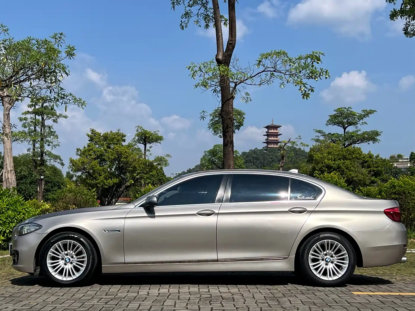 BMW 5 Series 2014 525Li Leading фото 4