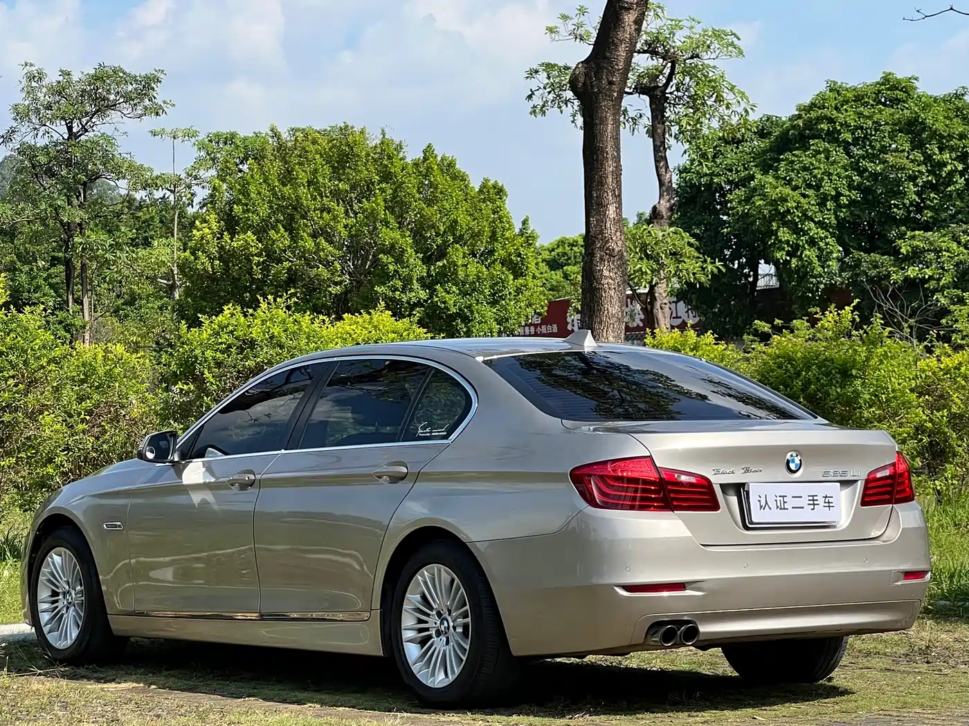 BMW 5 Series 2014 525Li Leading фото 5