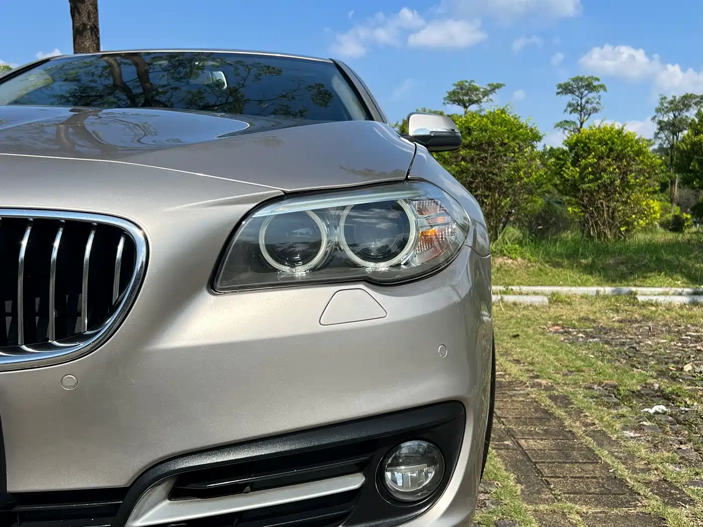BMW 5 Series 2014 525Li Leading фото 19