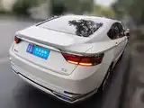 Фото 5 - Geely Borui