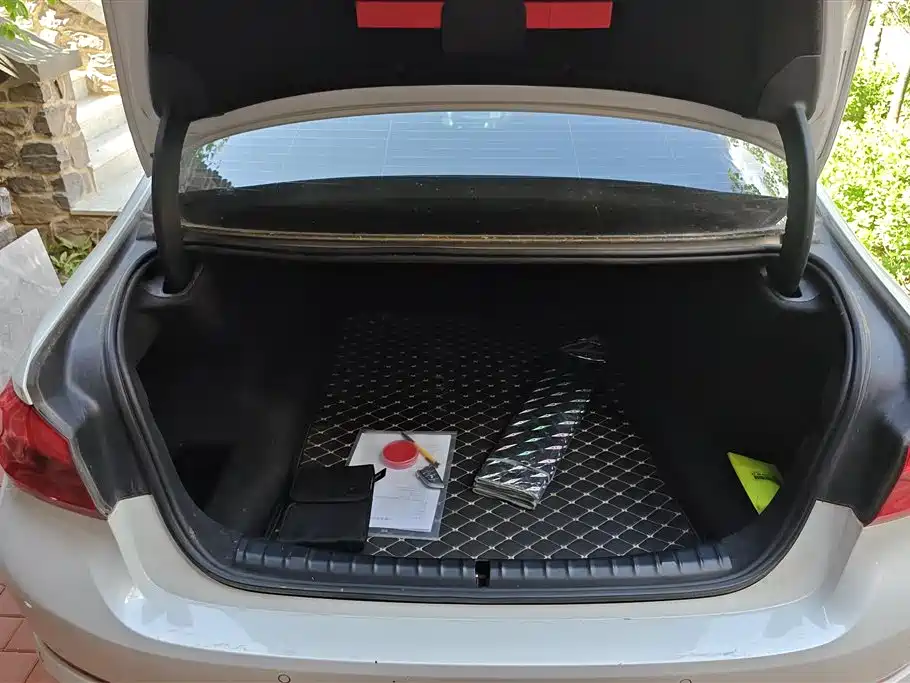 BMW 5 Series 2019 525Li Luxury Package фото 4