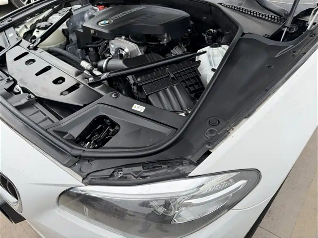 BMW 5 Series 2014 525Li Leading фото 19