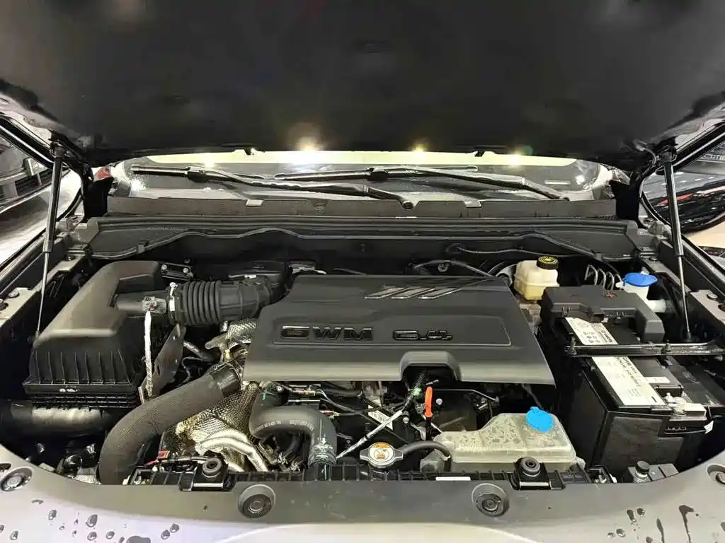 Great Wall Pao 2026 2026 Model 2.4T Passenger Cannon Auto Diesel 4WD Sport