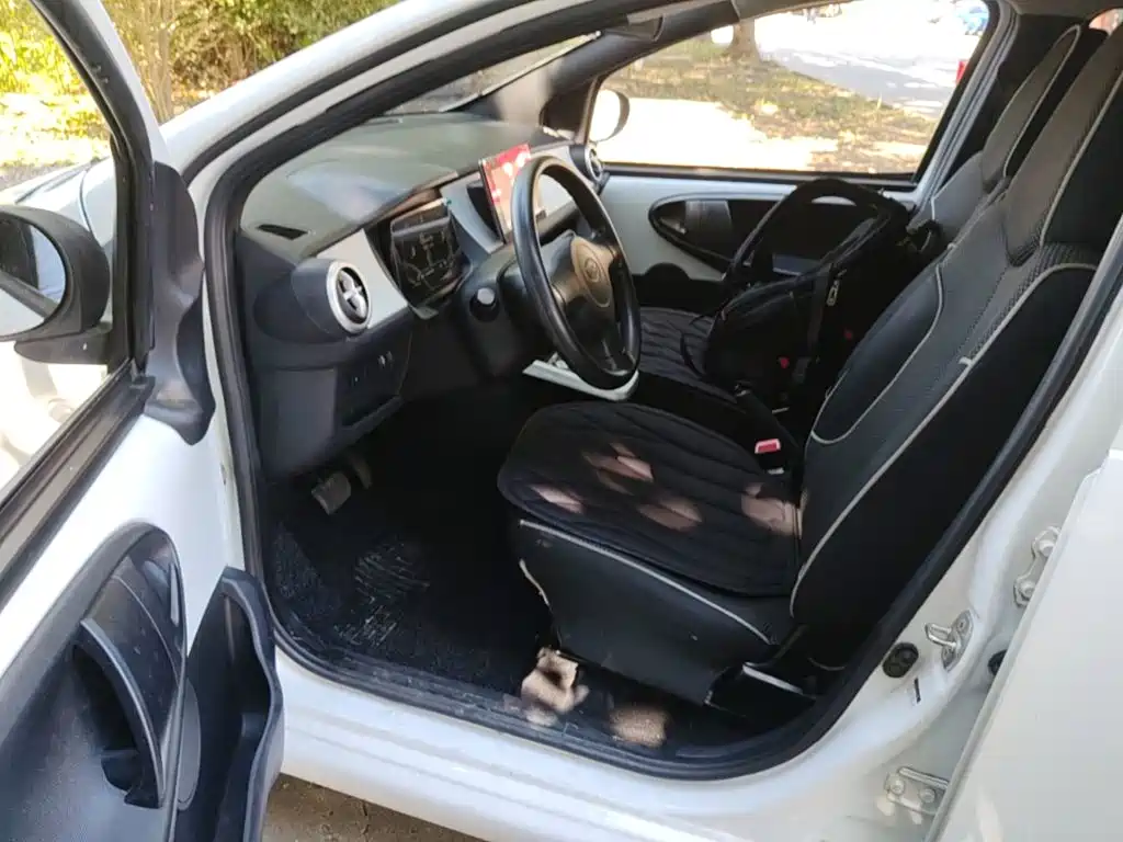 BYD e2 2021 2019 Standard Range Yue·Standard Model