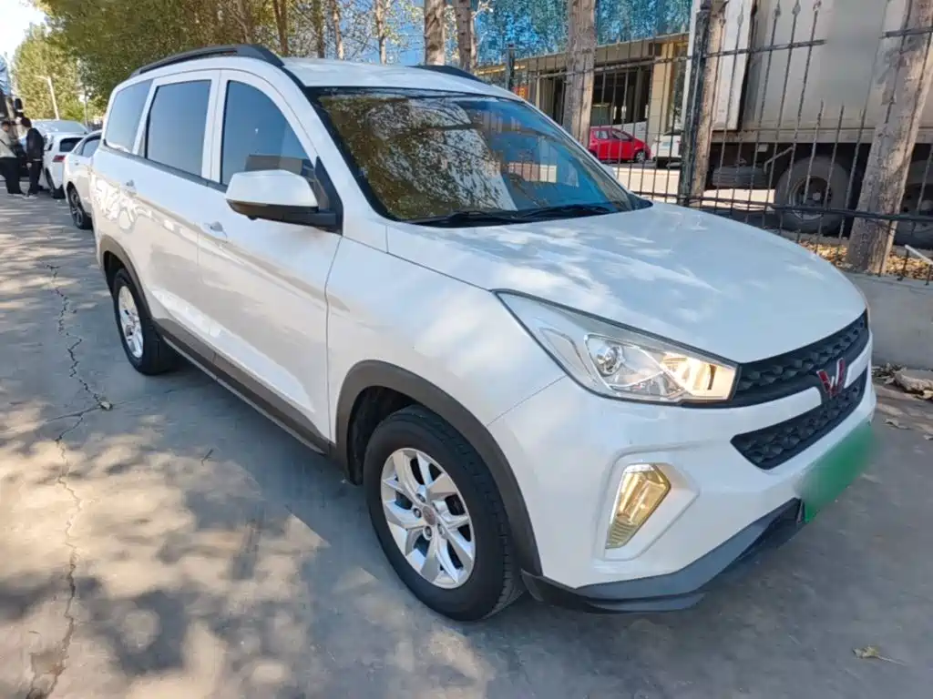 2019 Wuling Motors Wuling Hongguang S3