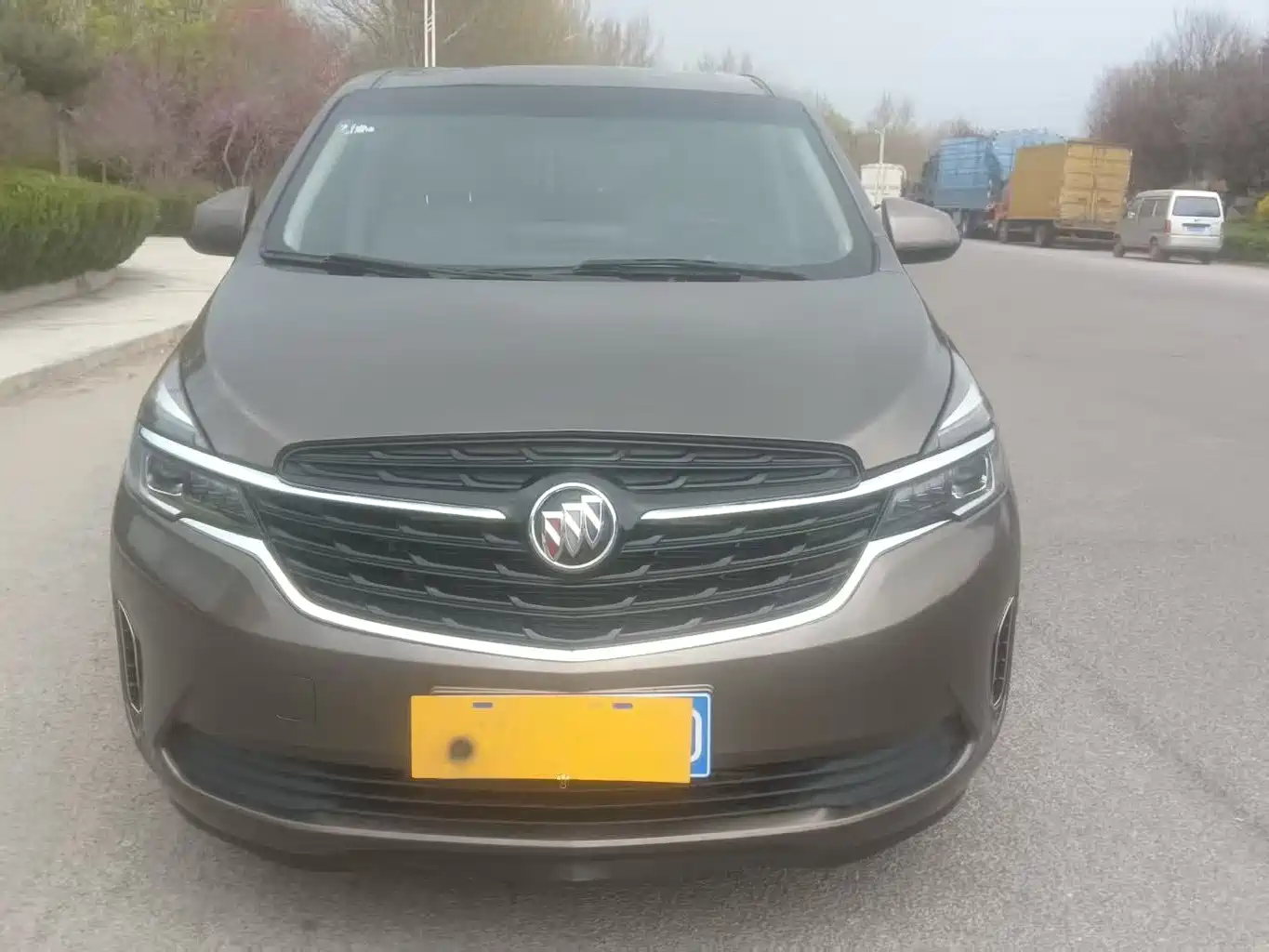 Buick GL8 2020 Model Land Business Class 652T Luxury