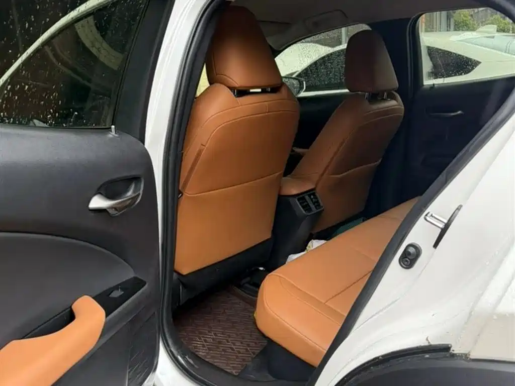 Lexus UX 2020 260h Explore Cool Edition фото 8