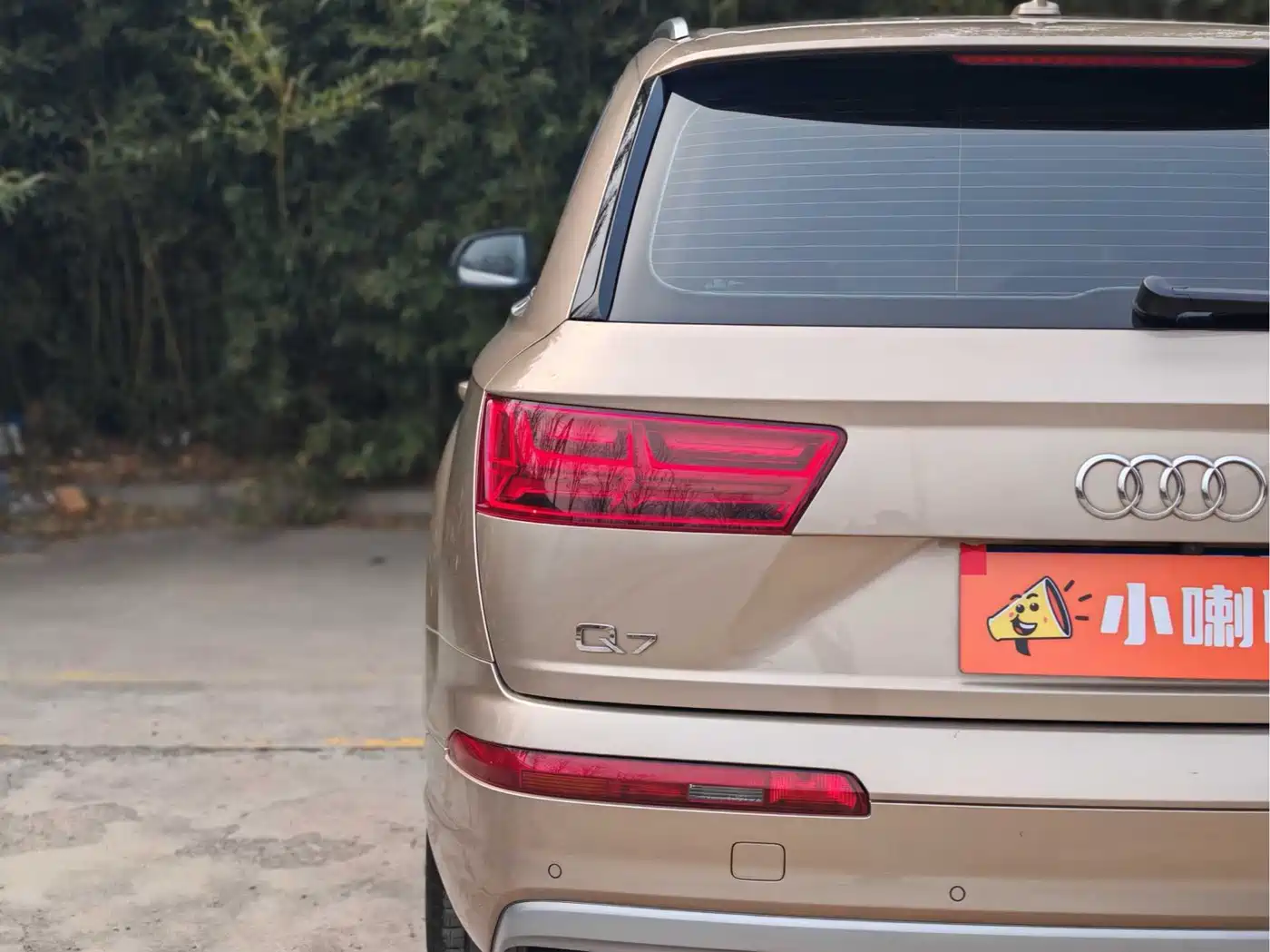 Audi Q7 2018 45 TFSI Technology фото 32