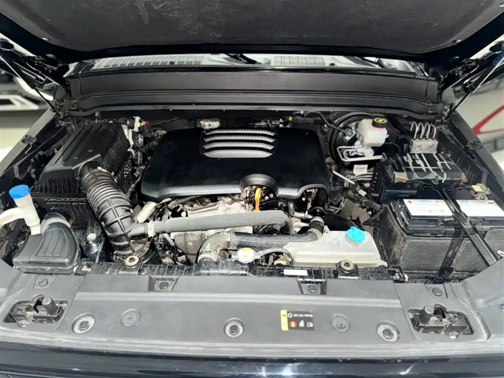 Tank 300 2021 Off-road Edition 2.0T Challenger фото 18