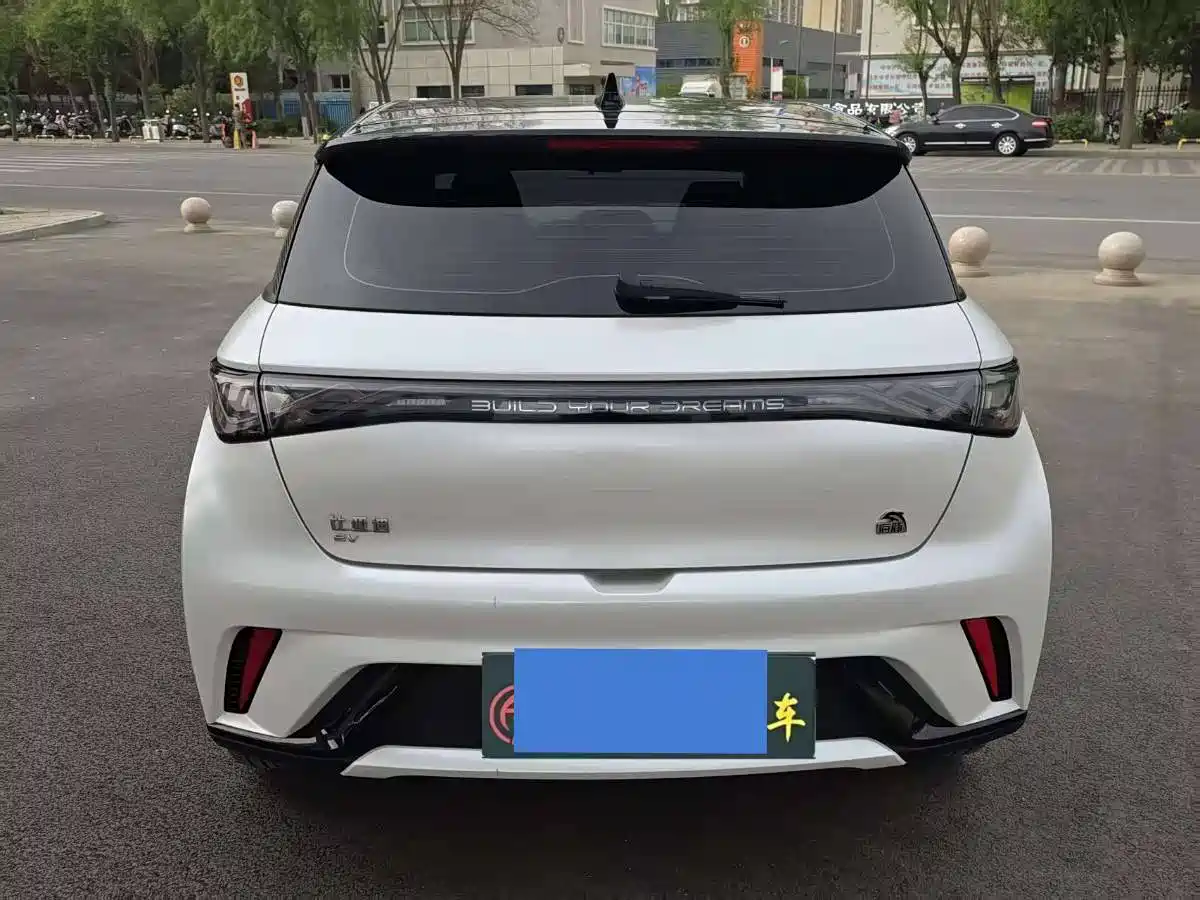BYD Dolphin 2023 420km Fashion Edition фото 8