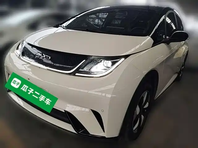 BYD Dolphin Слава, 420km, Стиль