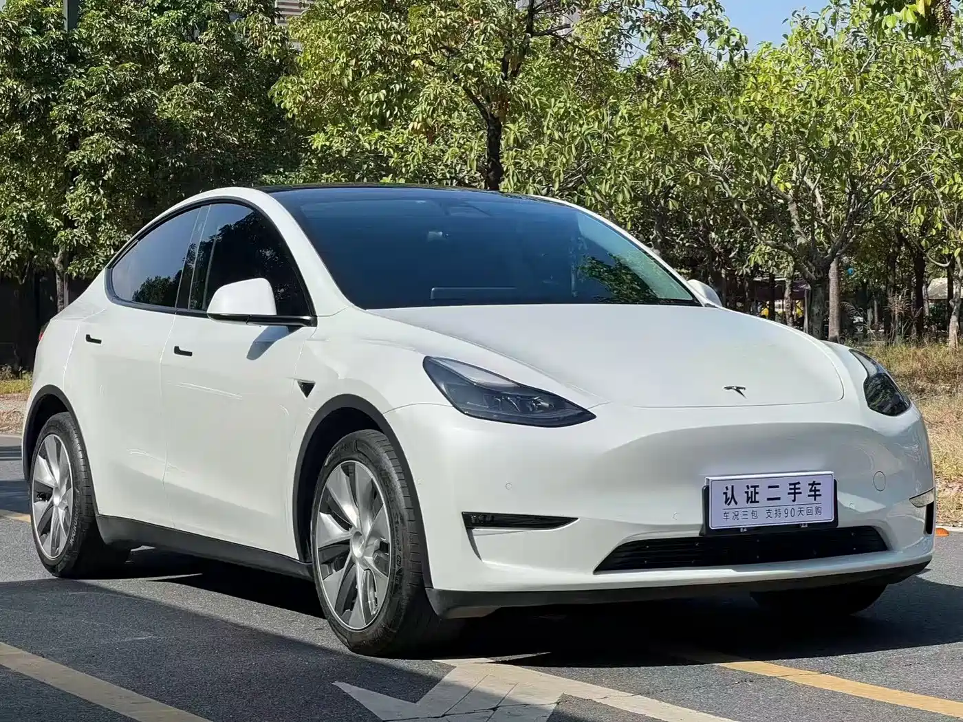 TESLA MODEL Y