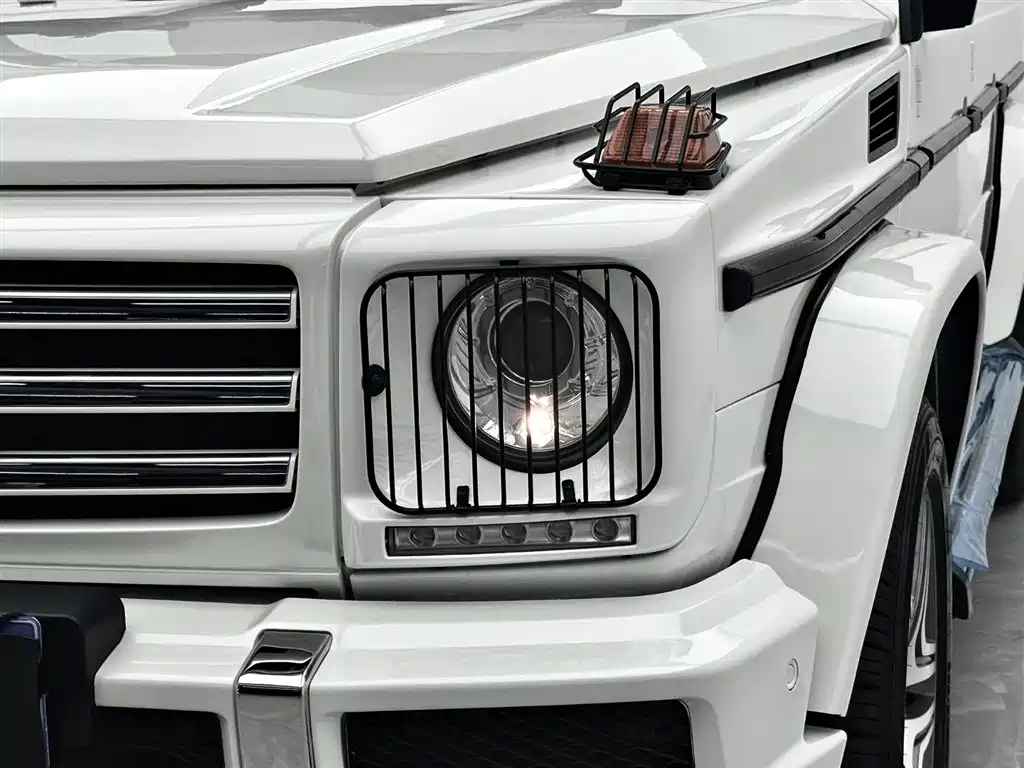 Mercedes-Benz G-Class AMG 2009 AMG G 55 фото 5