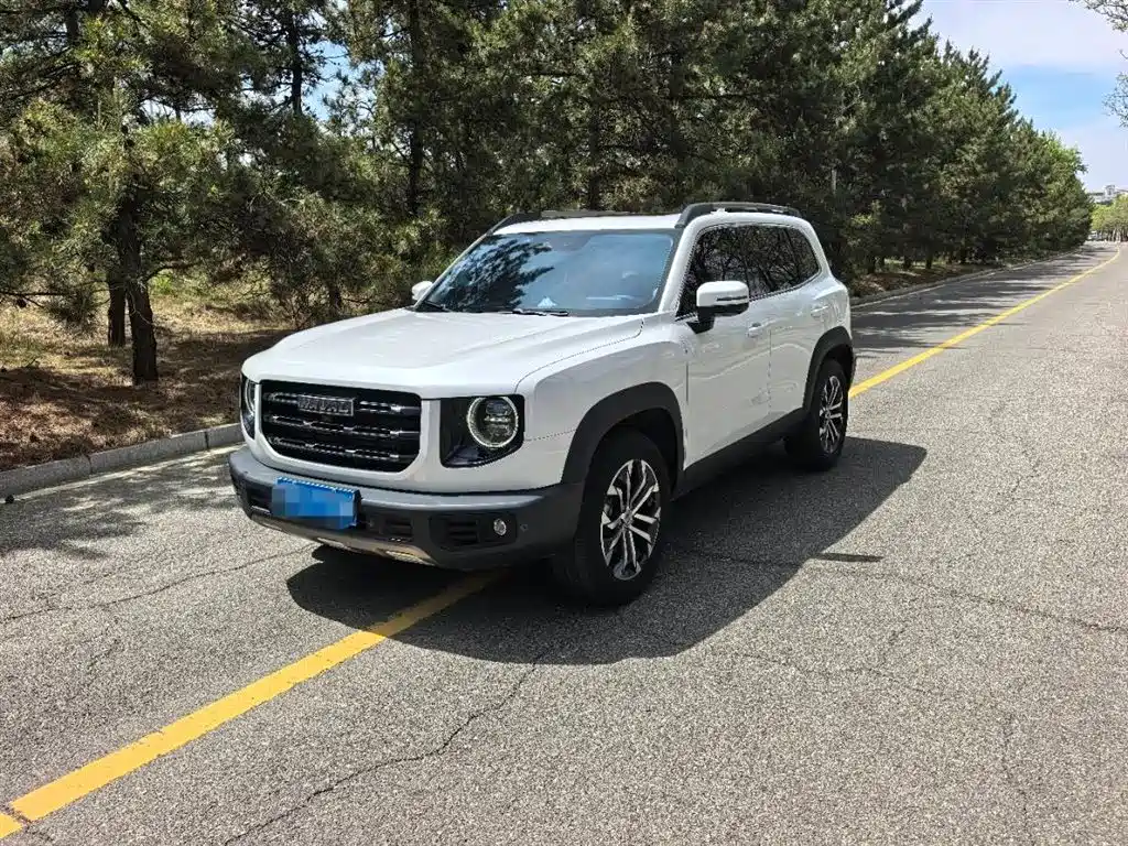 Haval Big Dog 2022 1.5T DCT FWD Border Collie Edition