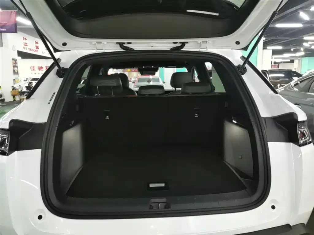 BYD Song L DM-i 2025 Model Smart Drive Edition 112km Leading Type фото 19