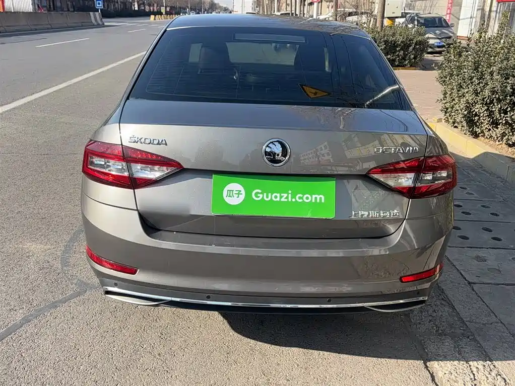 Škoda Octavia 2019 TSI230 DSG Luxury Edition фото 6