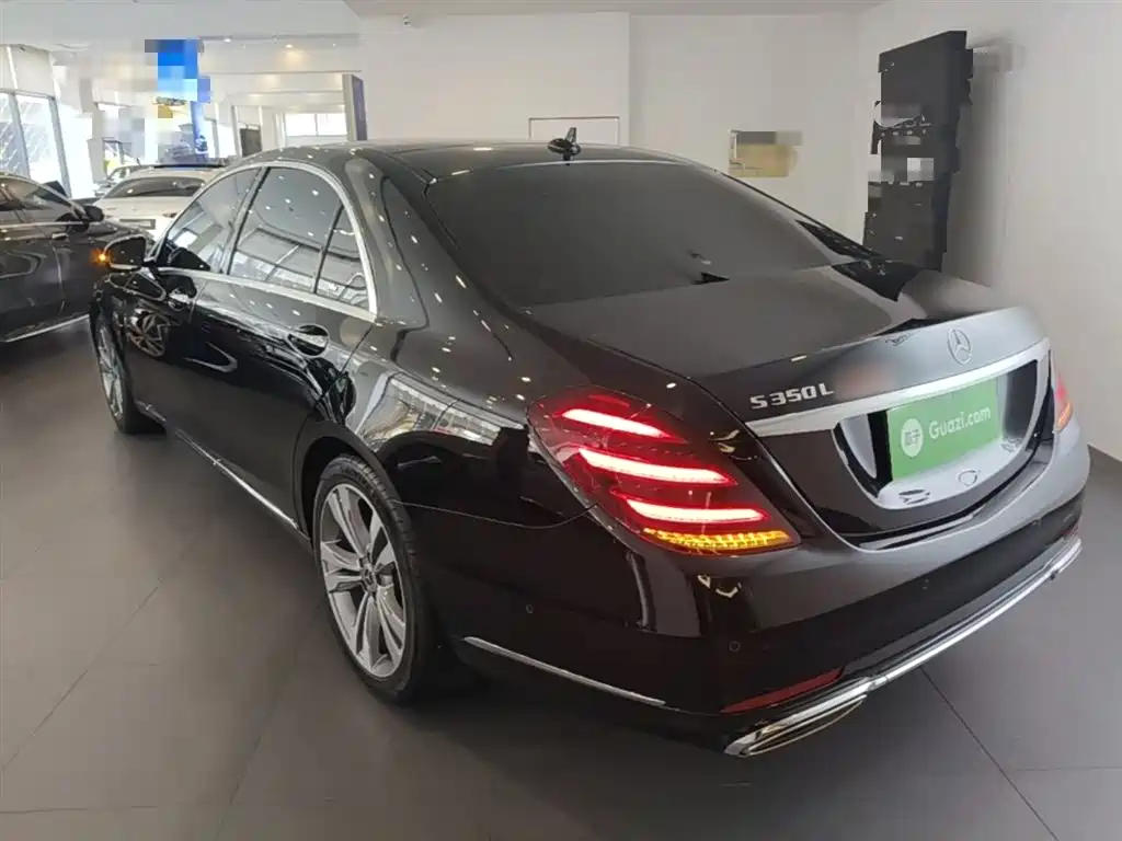 Mercedes-Benz S-Class 2020 S 350 L Premium Edition Collector's Version фото 5