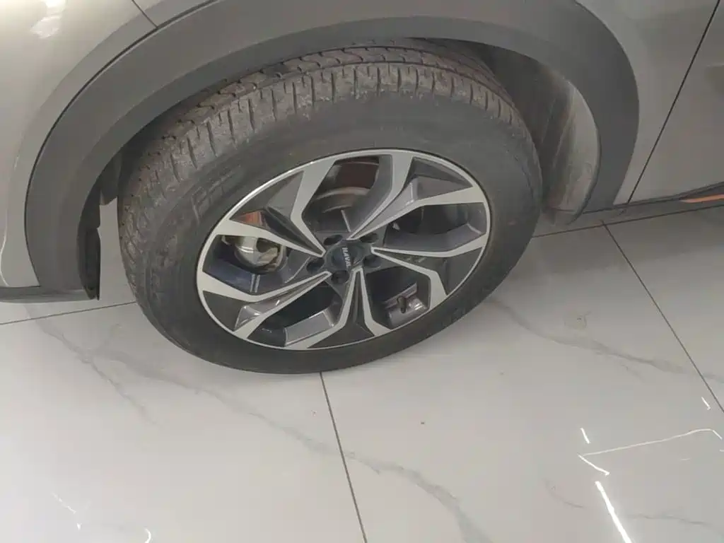 Haval Shenshou 2022 2022 1.5T Intelligent Premium Edition