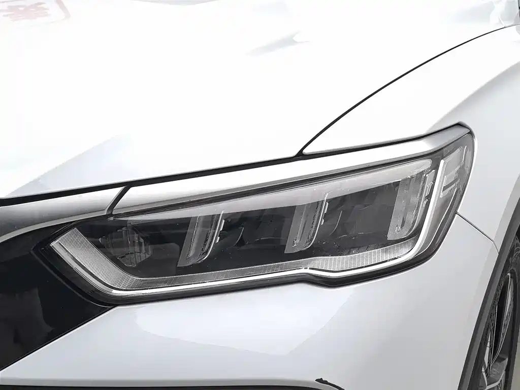 BYD Song Pro New Energy 2024 Glory Edition DM-i 110KM Excellence фото 7