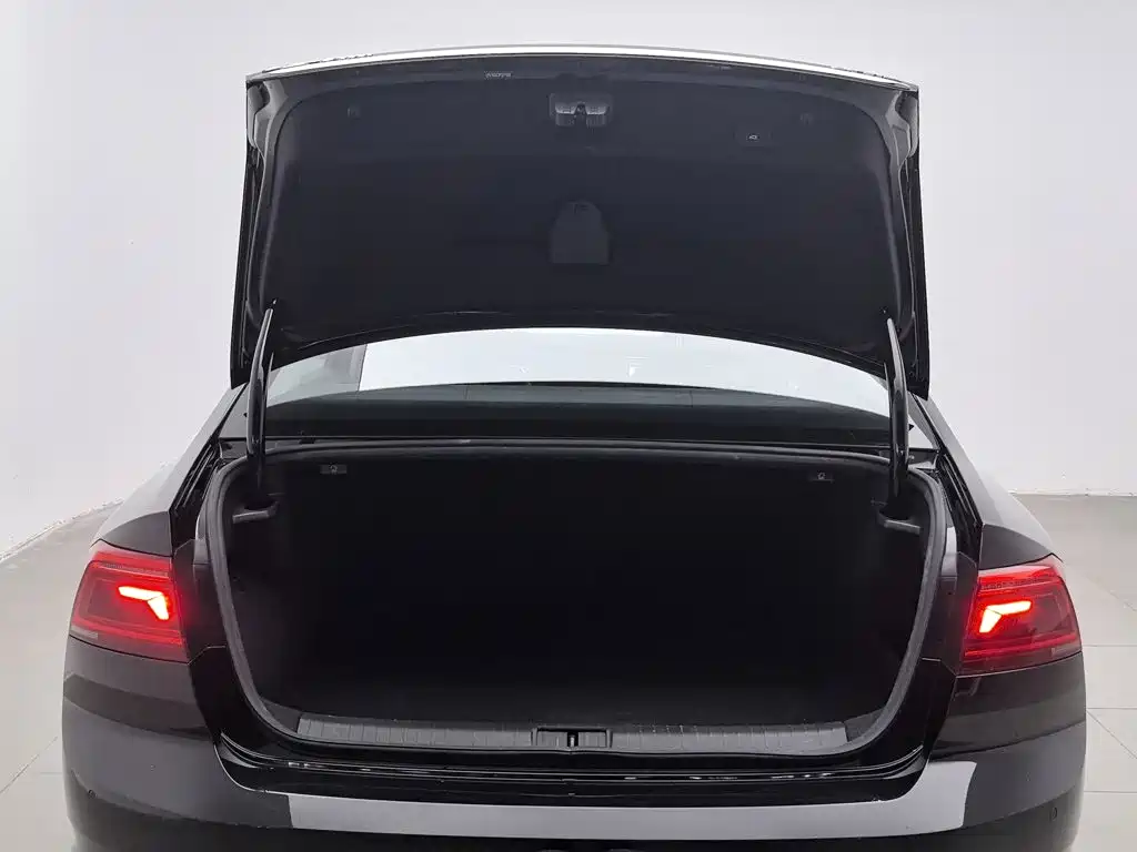 Photo 16 - Volkswagen Magotan GTE Plug-in Hybrid