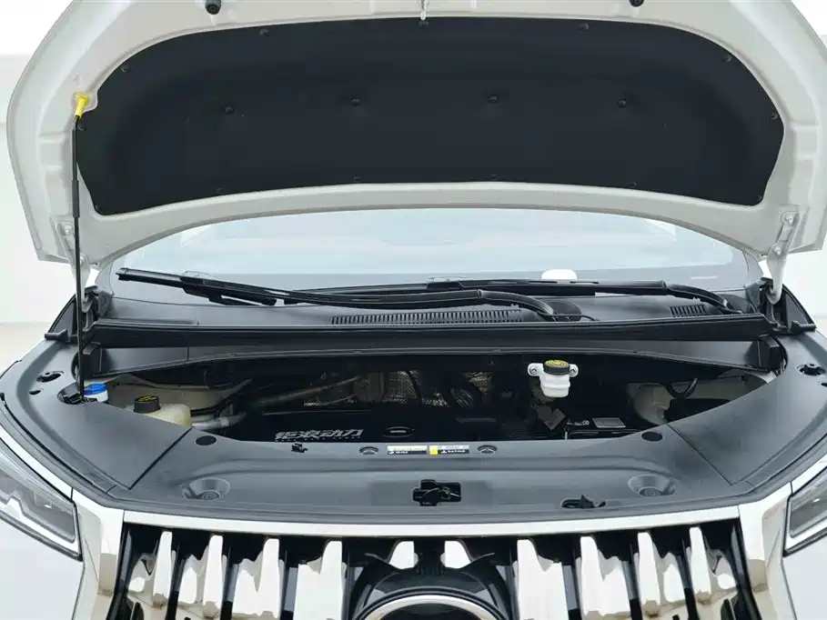 GAC Trumpchi Trumpchi M8 2023 Model Master Series 400T Flagship Edition фото 8