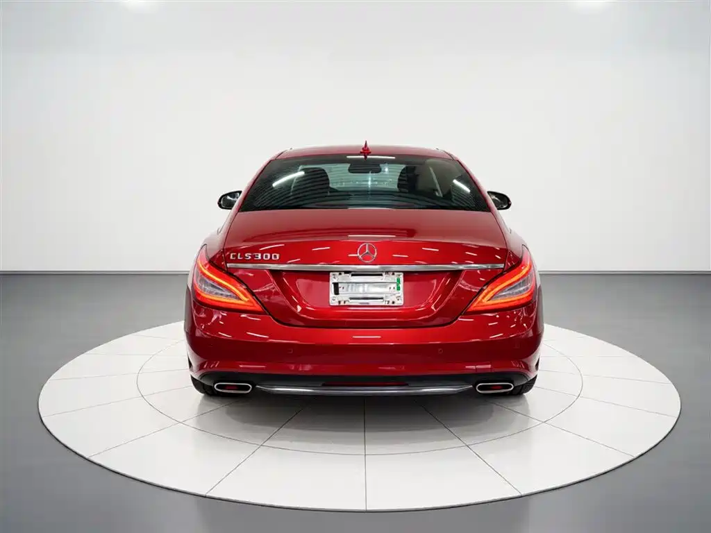 Mercedes-Benz CLS 2012 CLS 300 CGI фото 6