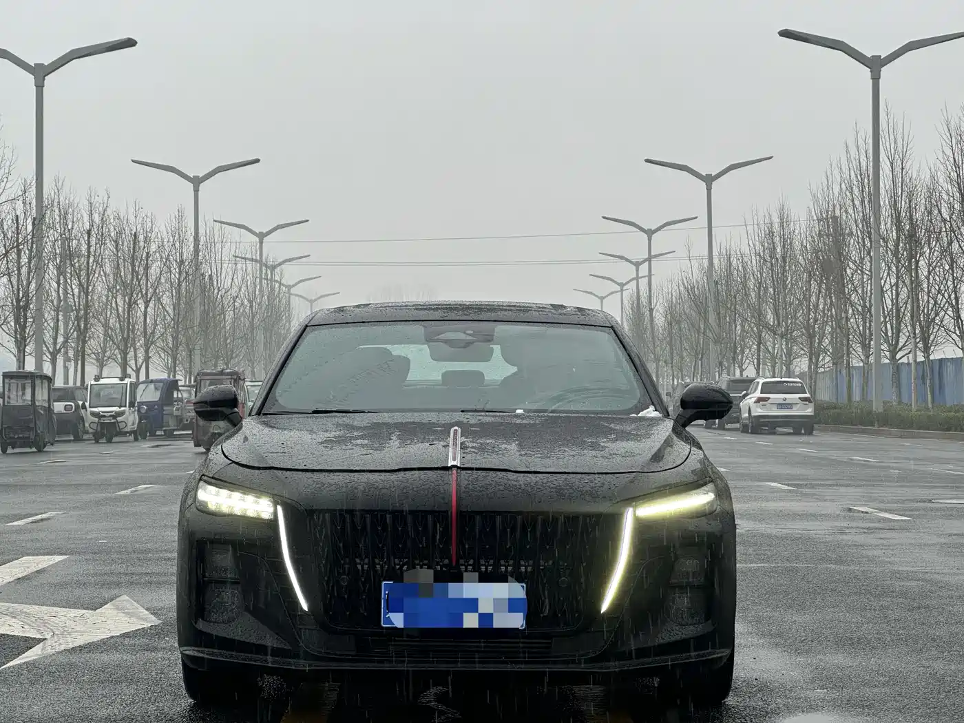 Hongqi H5 2024 2.0T Automatic Smart Connect Flag Smooth Edition фото 2