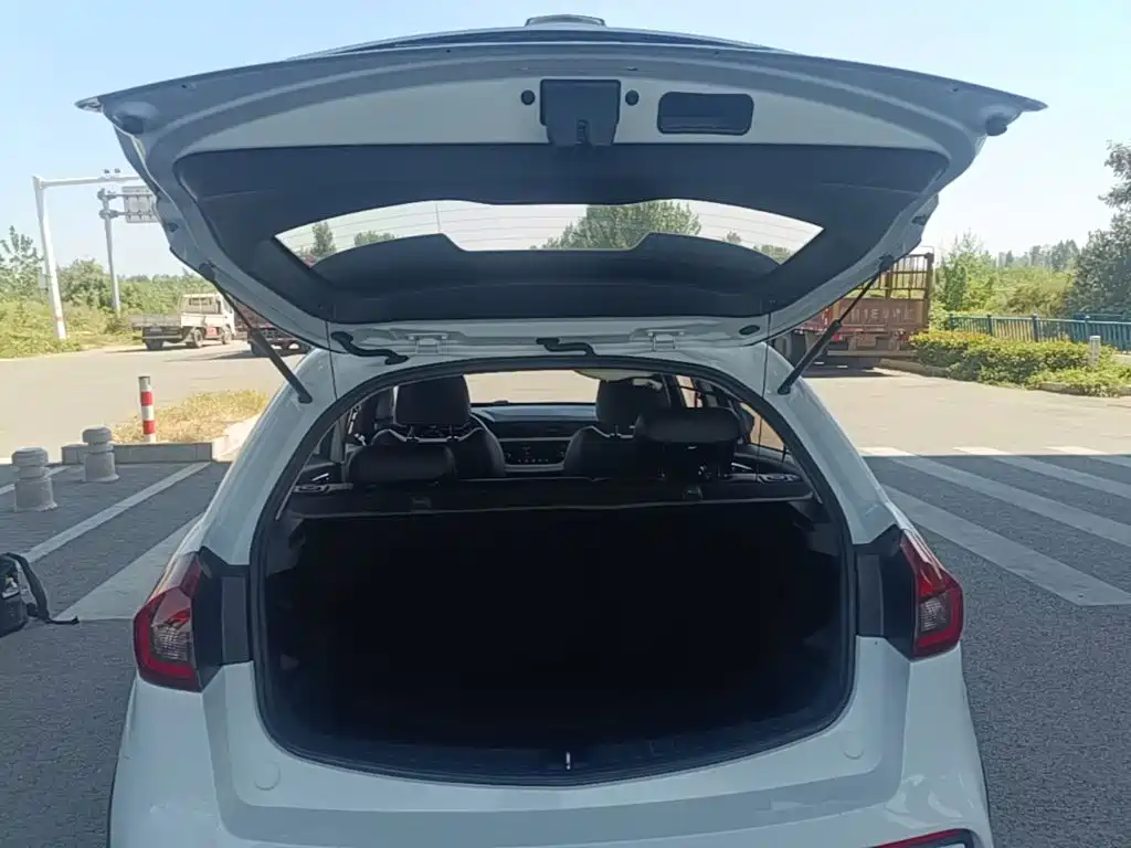 Photo 19 - Geely Vision X3