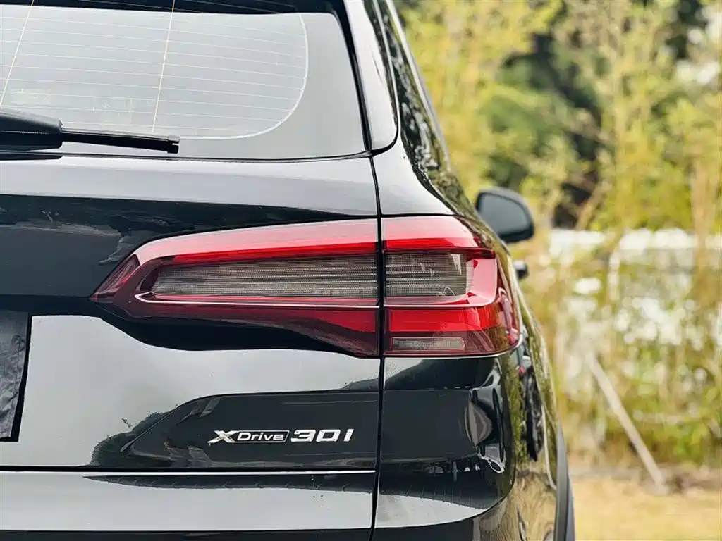 BMW X5 (Import) 2021 Facelift xDrive30i X Design Package фото 21