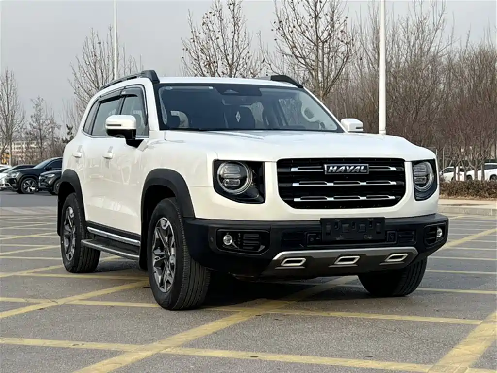 Haval Big Dog 2021 2.0T DCT 4WD Chinese Rural Dog Edition фото 24